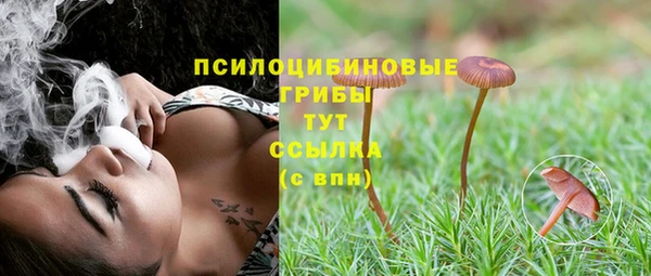 прущая мука Магадан