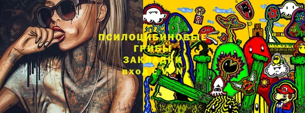 прущая мука Магадан