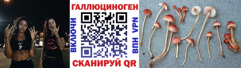 Псилоцибиновые грибы прущие грибы Таштагол