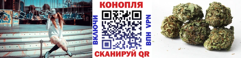 Марихуана семена  как найти закладки  Таштагол 
